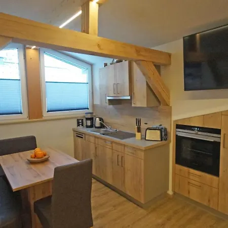 Daire Fleissner Dienten am Hochkönig