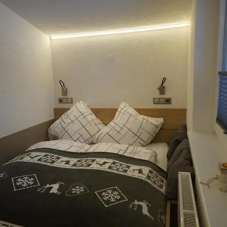 Daire Apartment Haus Dienten - Top 9
