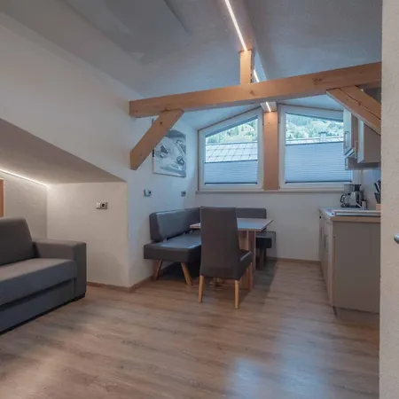 Daire Apartment Haus Dienten - Top 9