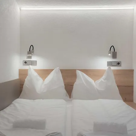 Apartment Haus Dienten - Top 9 Daire